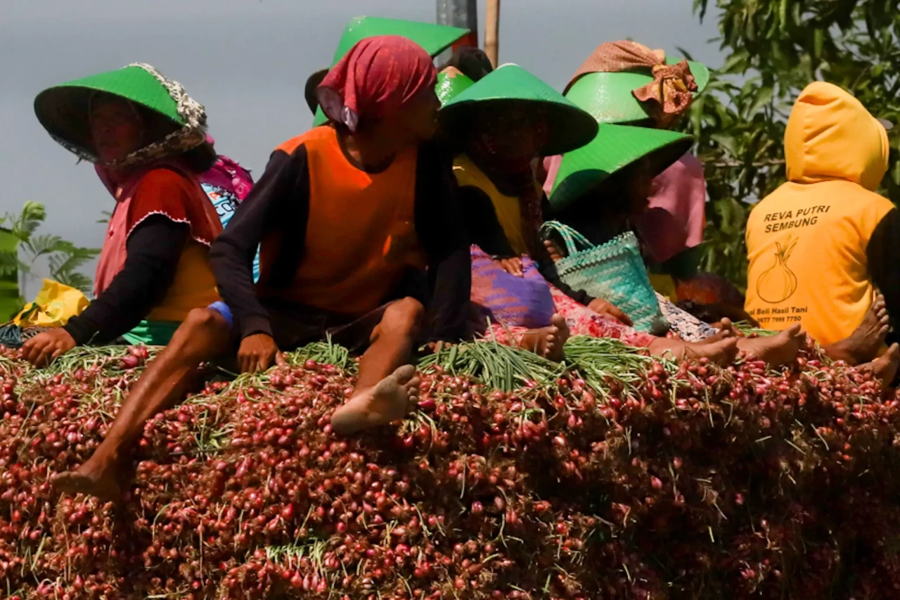 Jelang Idul Adha, Harga...