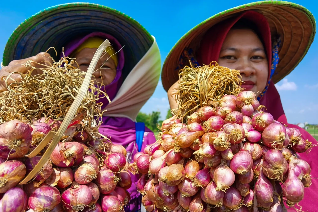Jelang Idul Adha, Harga...