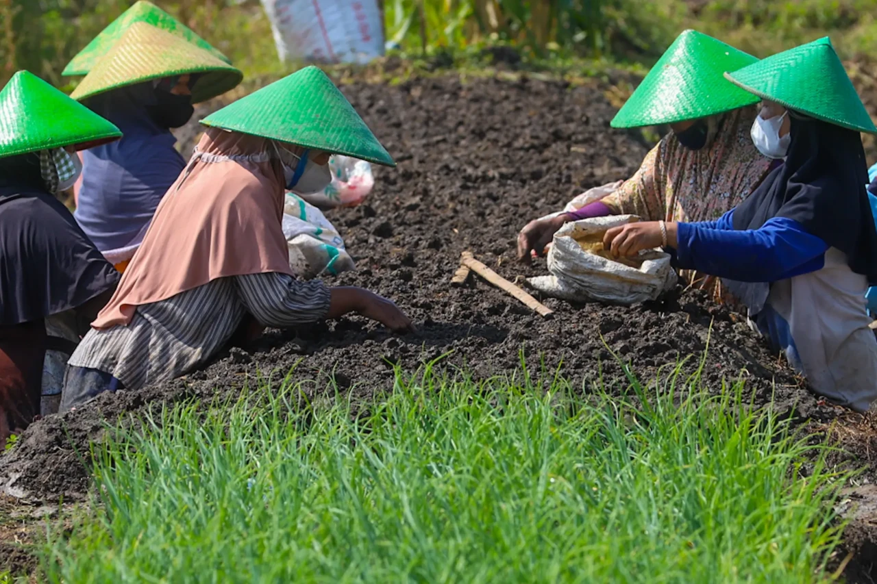 Jelang Idul Adha, Harga...