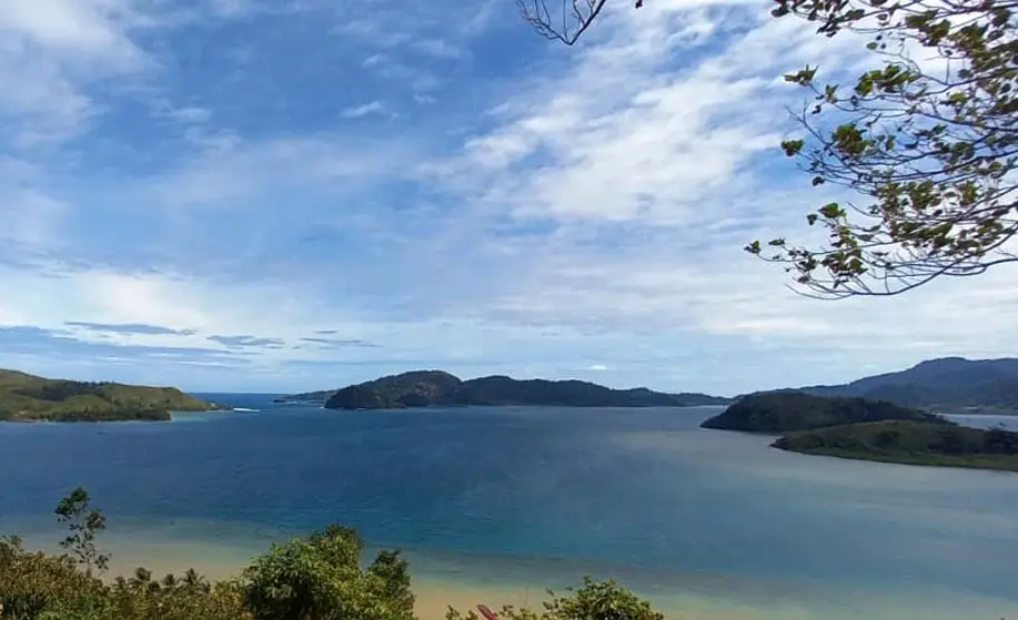 Bak Raja Ampatnya Papua,...
