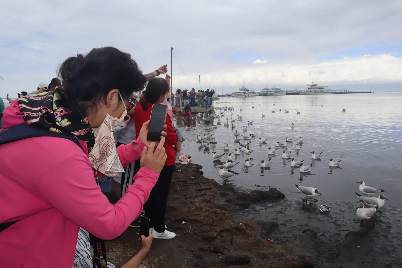 Melihat Migrasi Burung...
