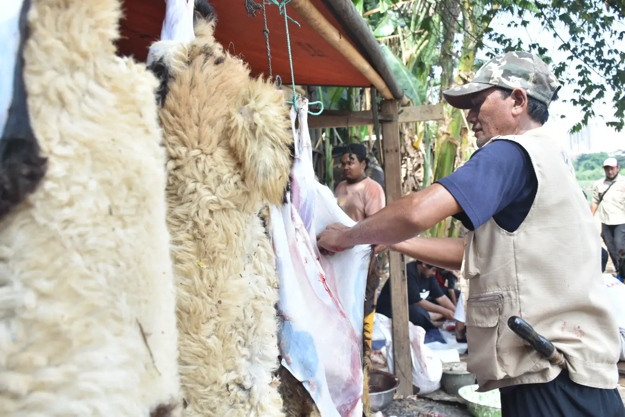 Indonesia Care Tutup...