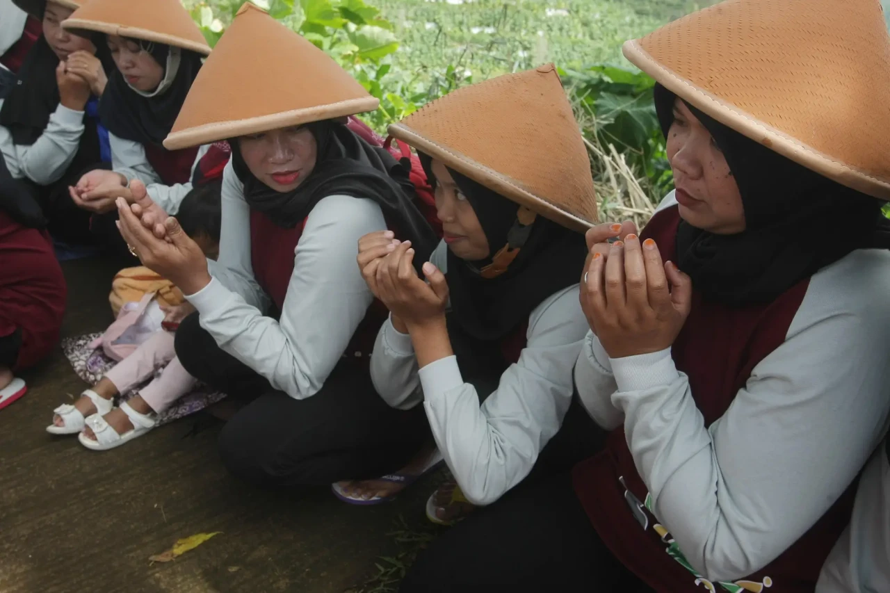 Tradisi Wiwitan Panen...