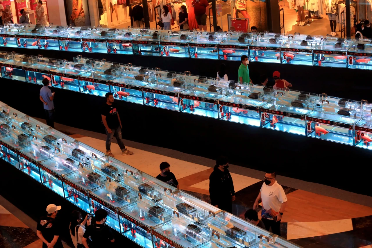 Lippo Mall Kemang Gelar...