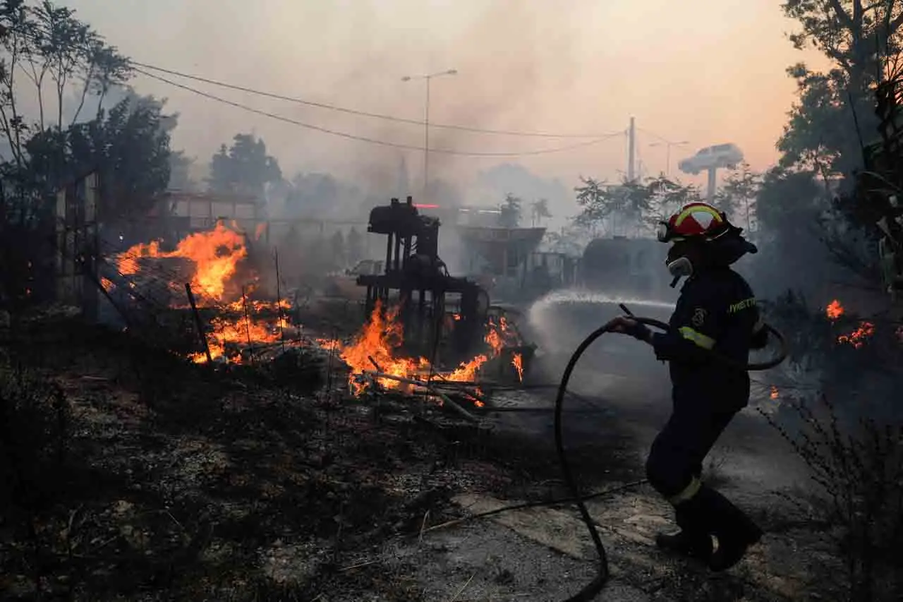 Api Kebakaran Hutan...