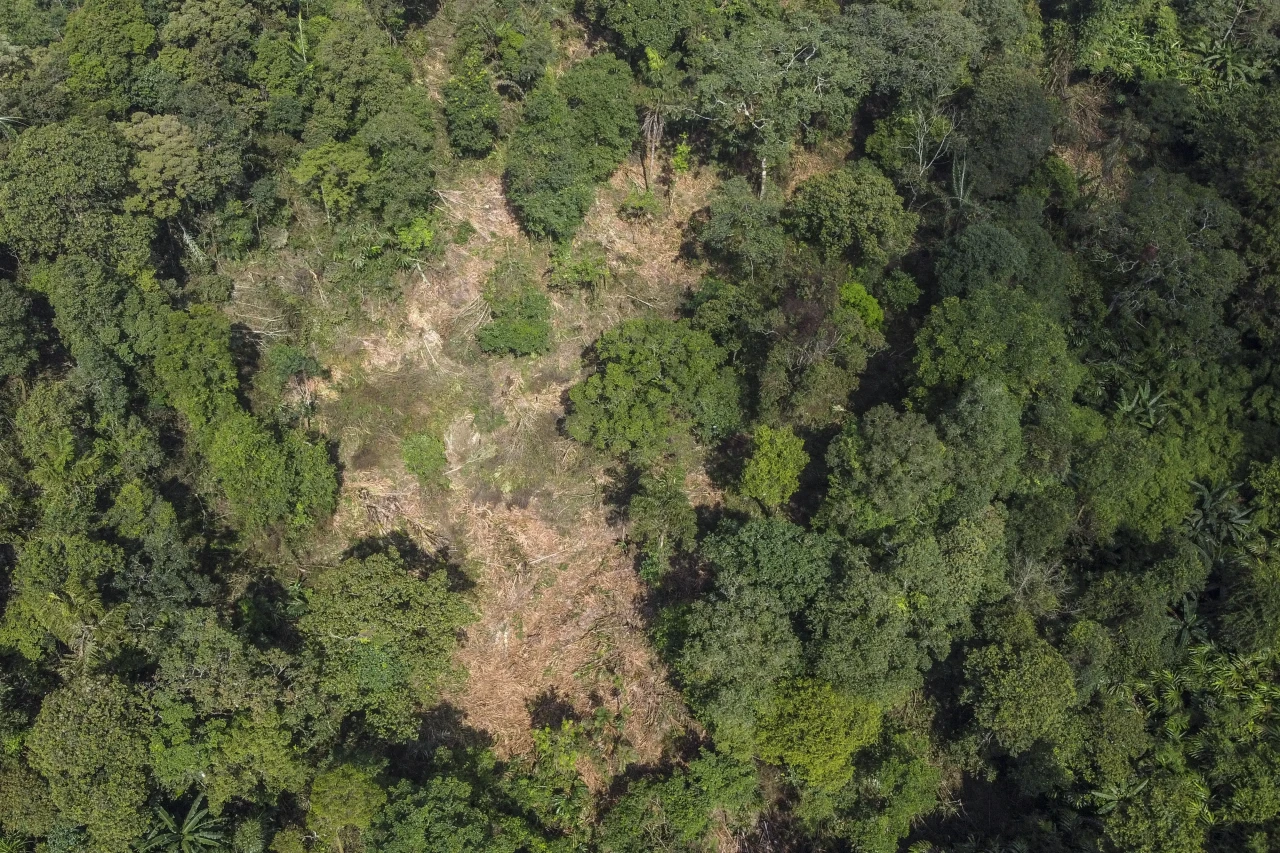 Pembalakan Liar di Gunung...