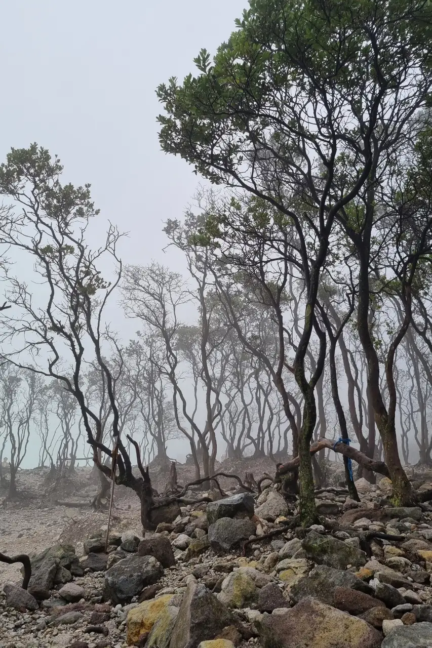 Pesona Wisata Alam Kawah...