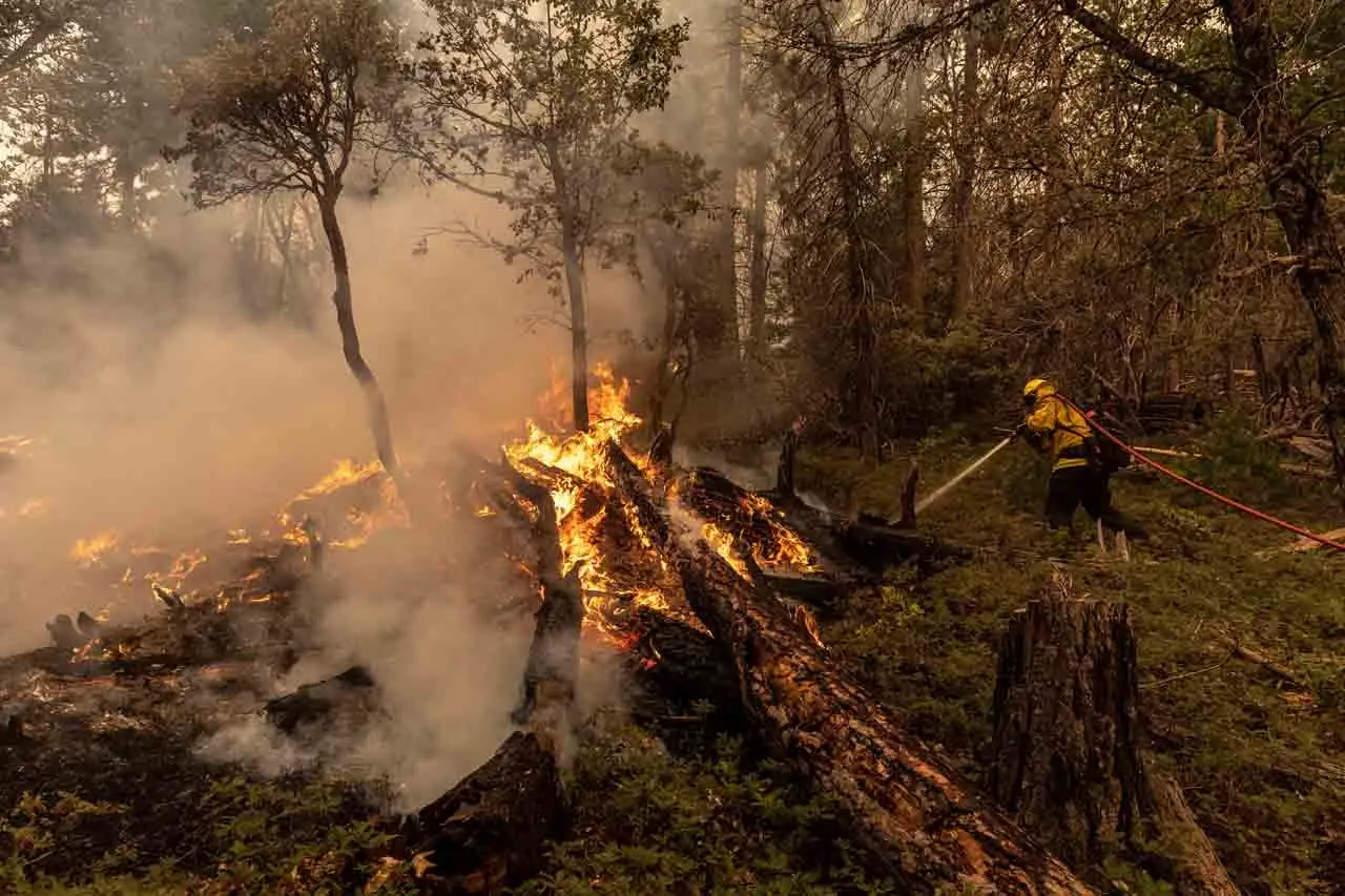 Melihat Neraka di Hutan...