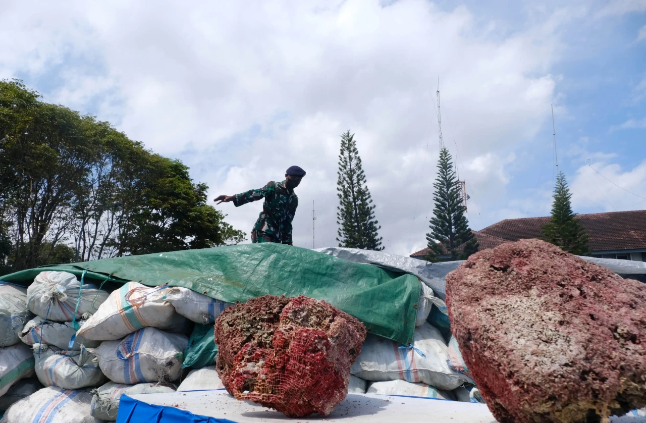 TNI AL Gagalkan Penyelundupan...