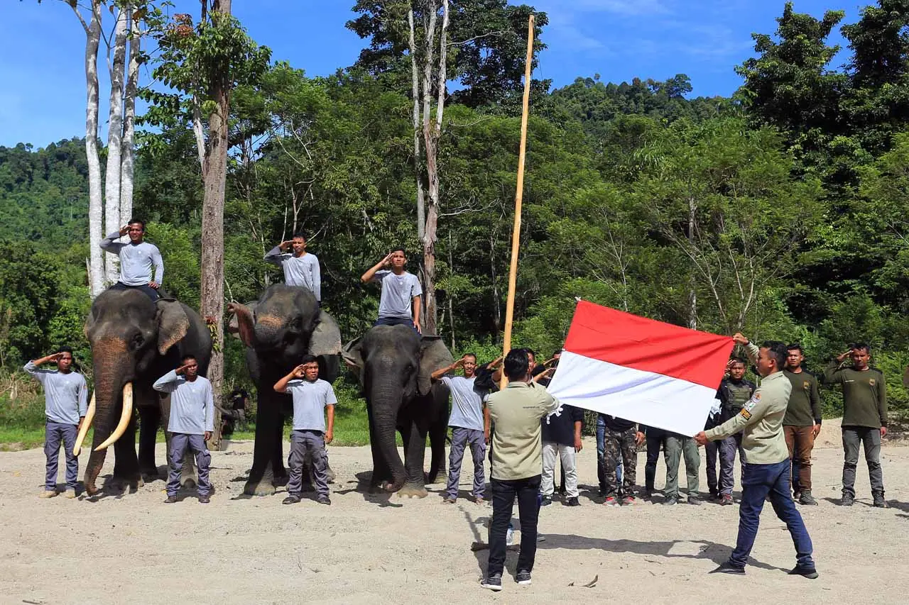 Pengibaran Bendera Merah...