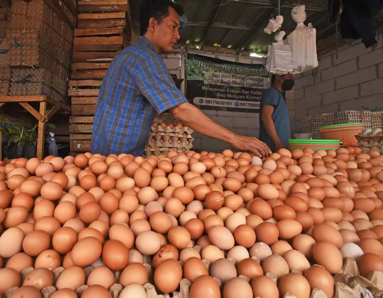 Harga Telur di Banten...