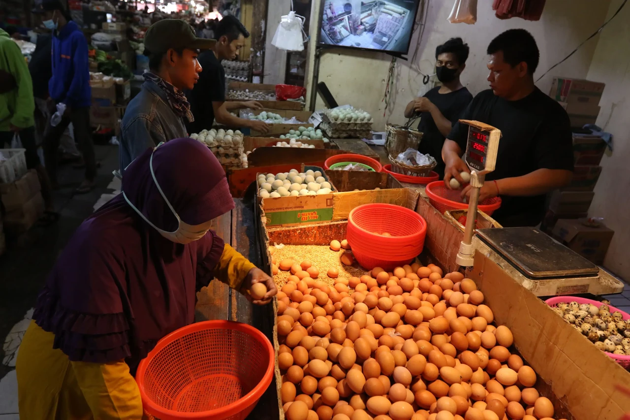Harga Telur Ayam Terus...