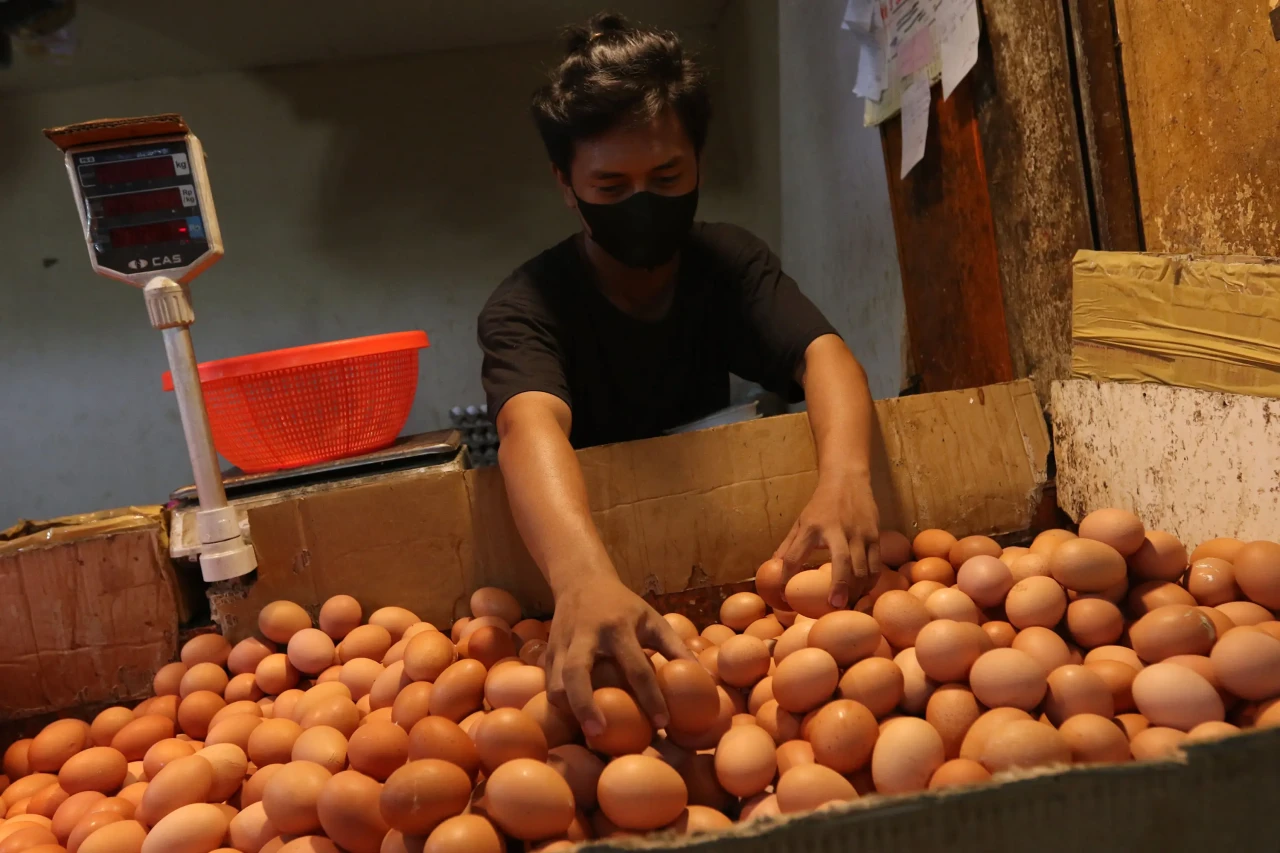 Harga Telur Ayam Terus...