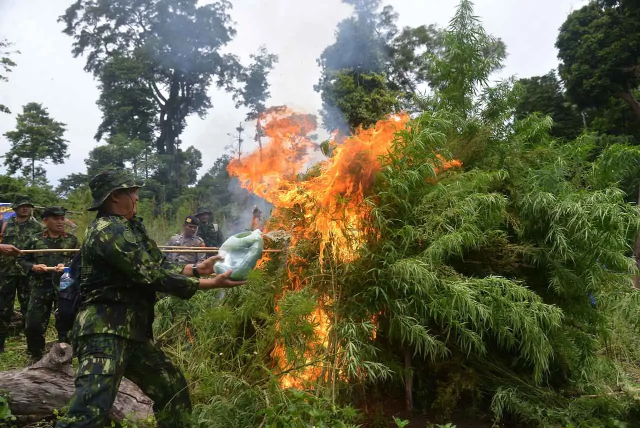 BNNP Aceh Bersama TNI...