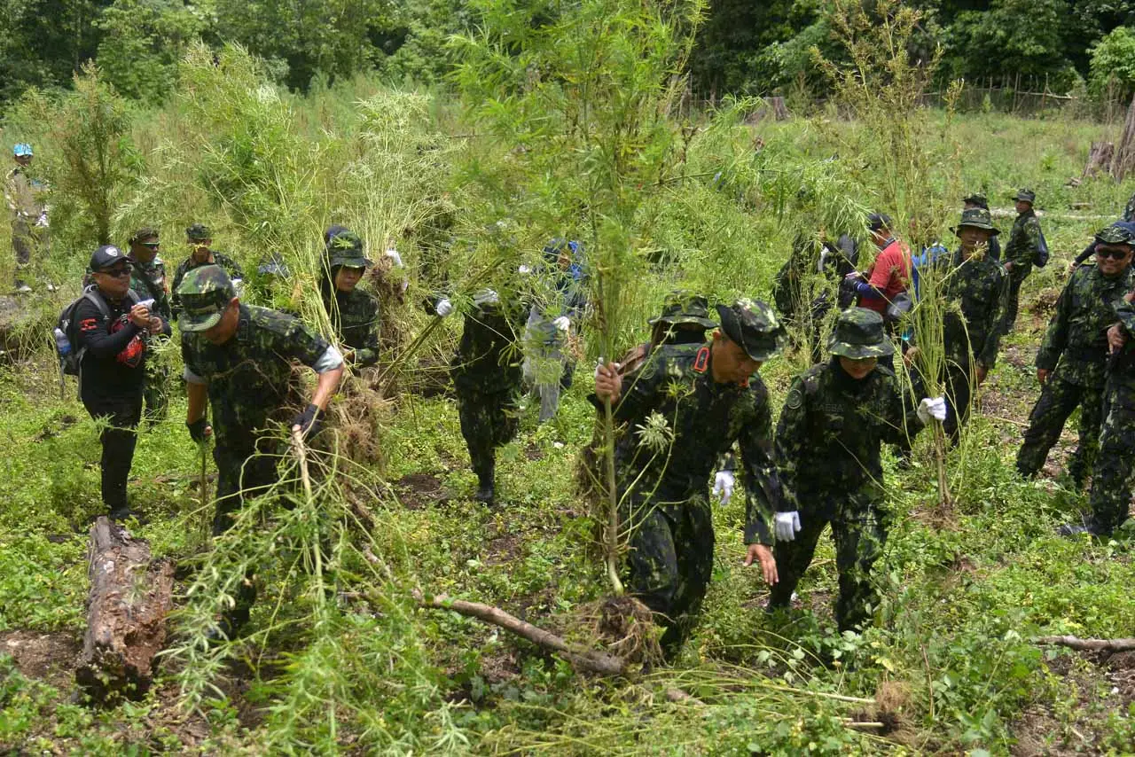 BNNP Aceh Bersama TNI...