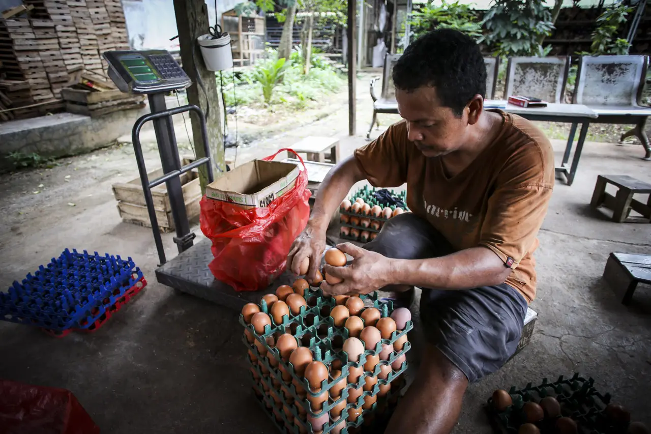 Harga Telur Rp32.000...