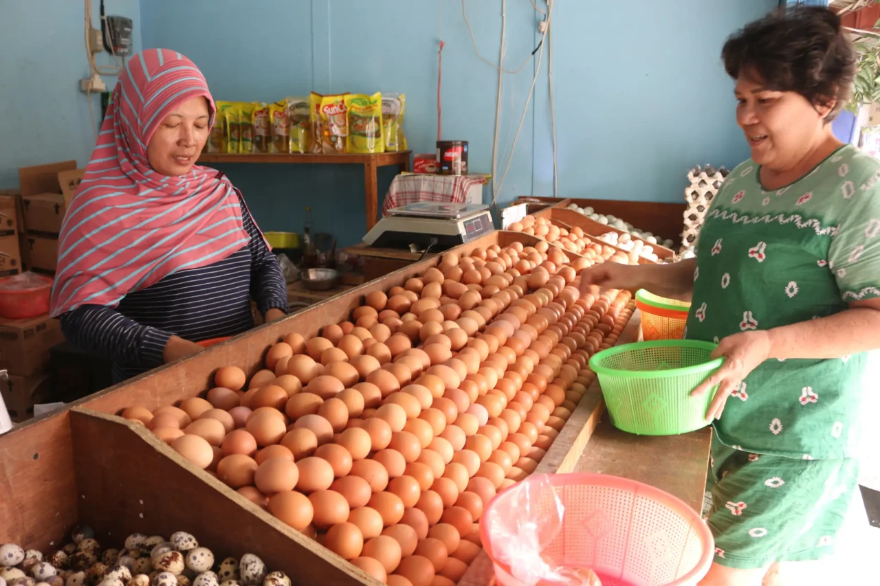 Harga Telur Ayam Masih...