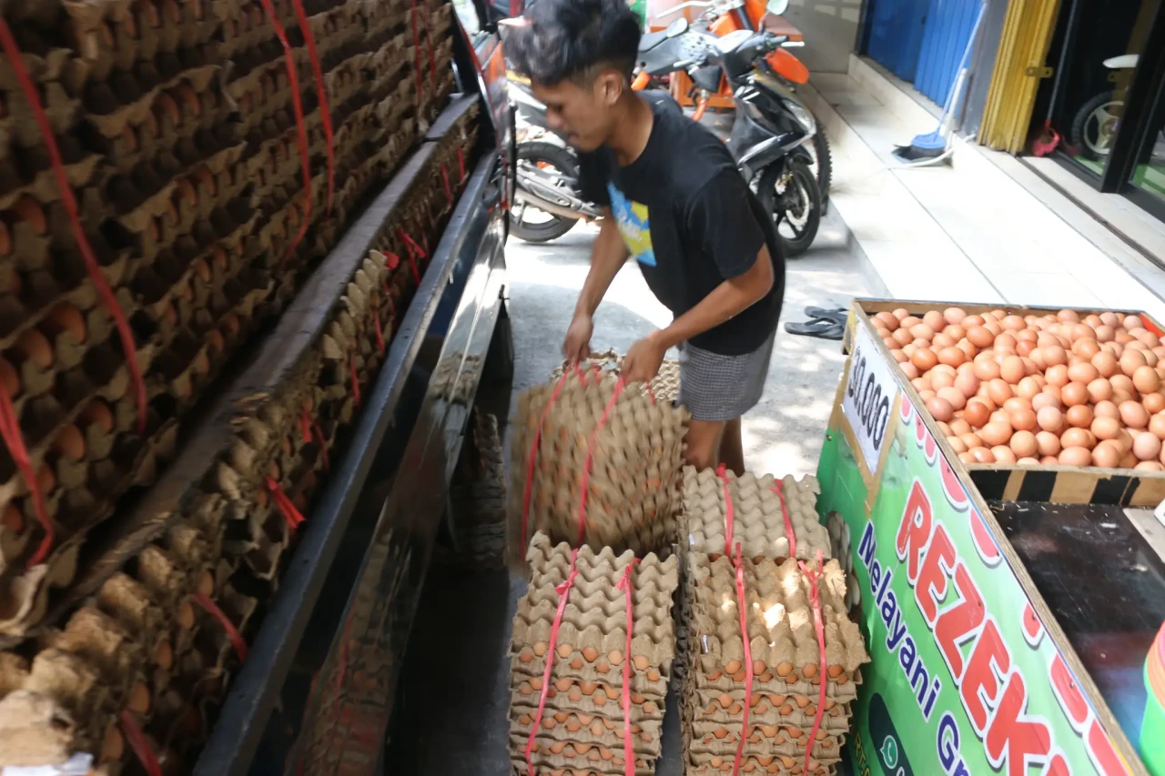 Harga Telur Ayam Masih...