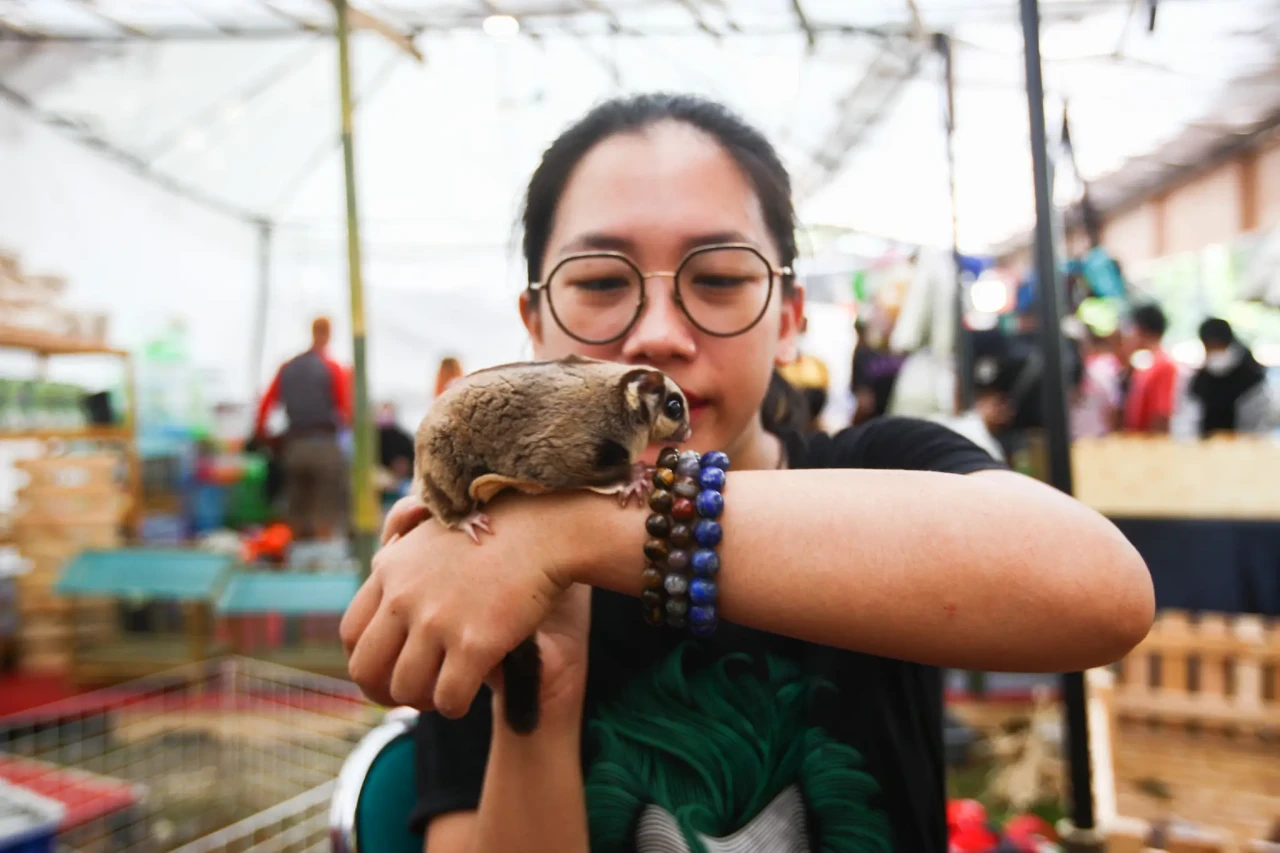 Pameran Flora dan Fauna...