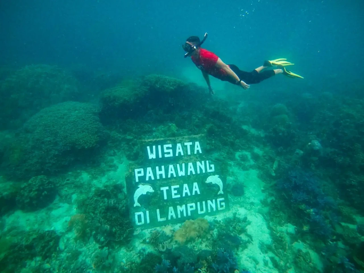 Sandiaga Uno Sambangi...