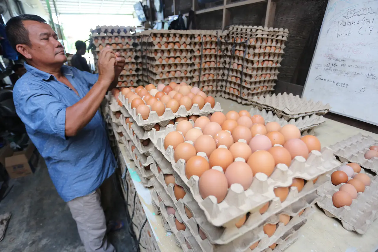 Kenaikan Harga Telur...