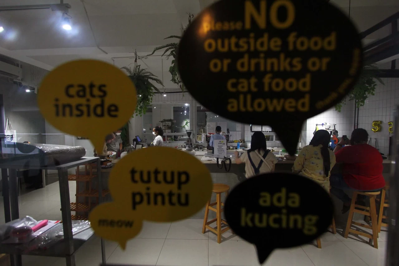 Kafe Pecinta Kucing...