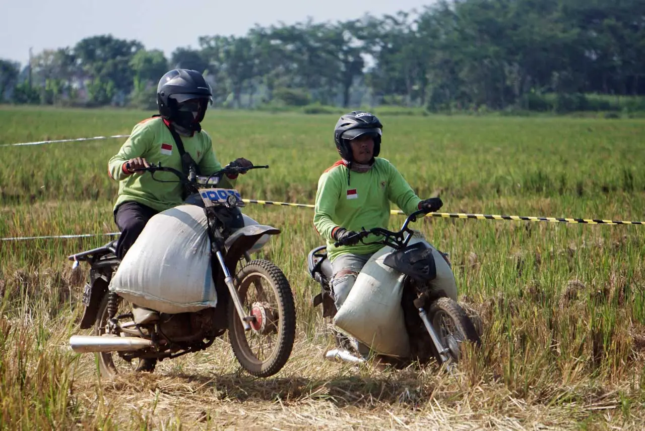 Balap Motor Ojek Gabah...