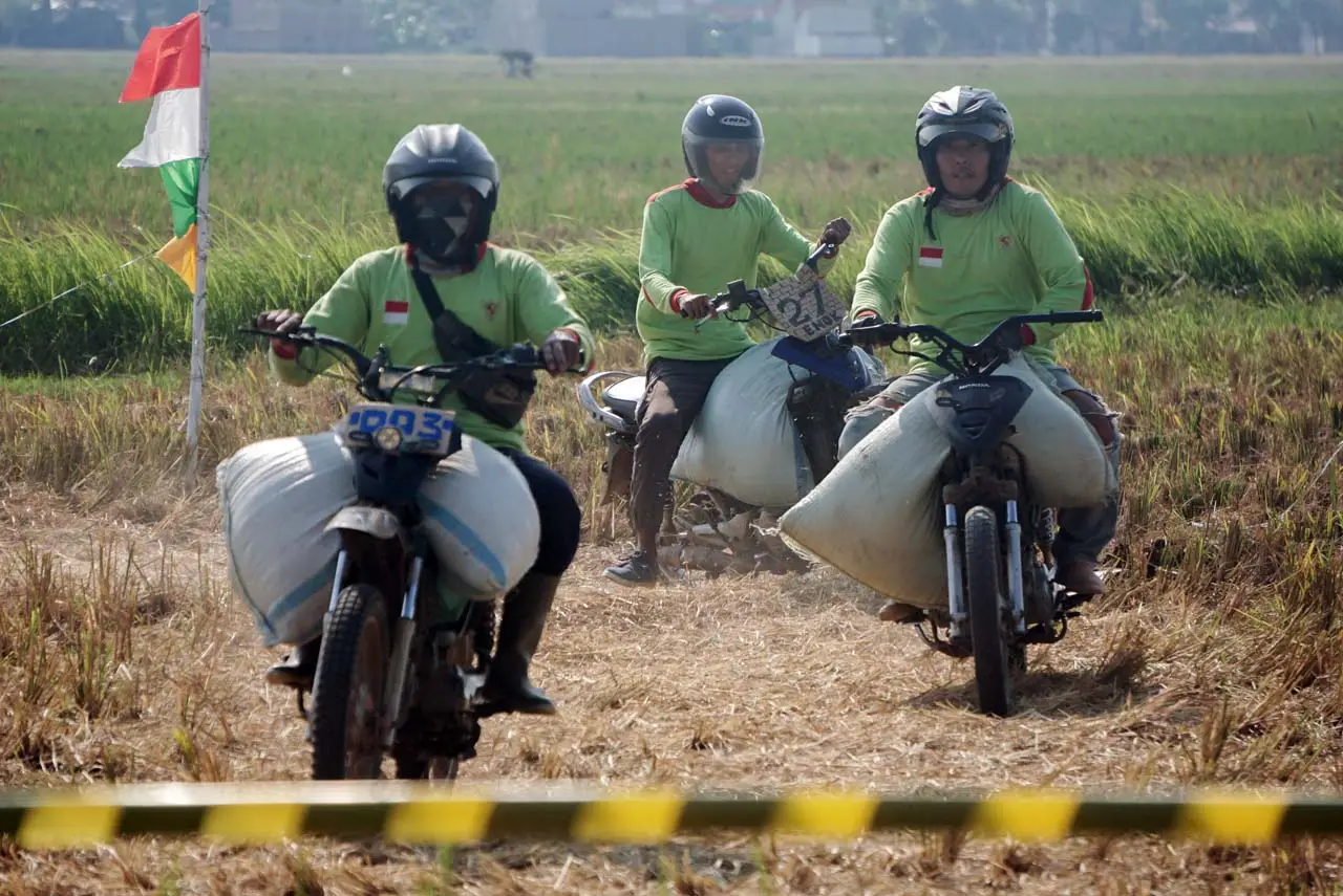 Balap Motor Ojek Gabah...
