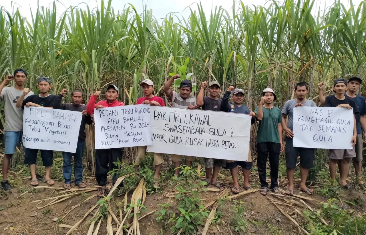 Petani Tebu Magetan...