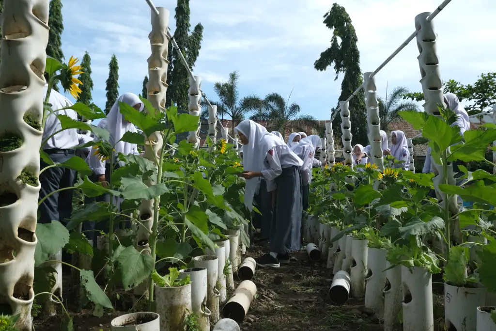 Serunya Bercocok Tanam...