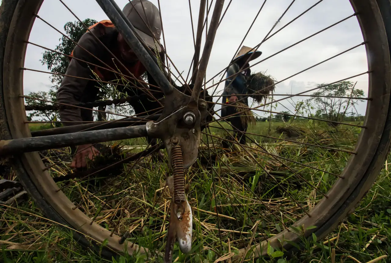 Petani Gagal Panen Usai...
