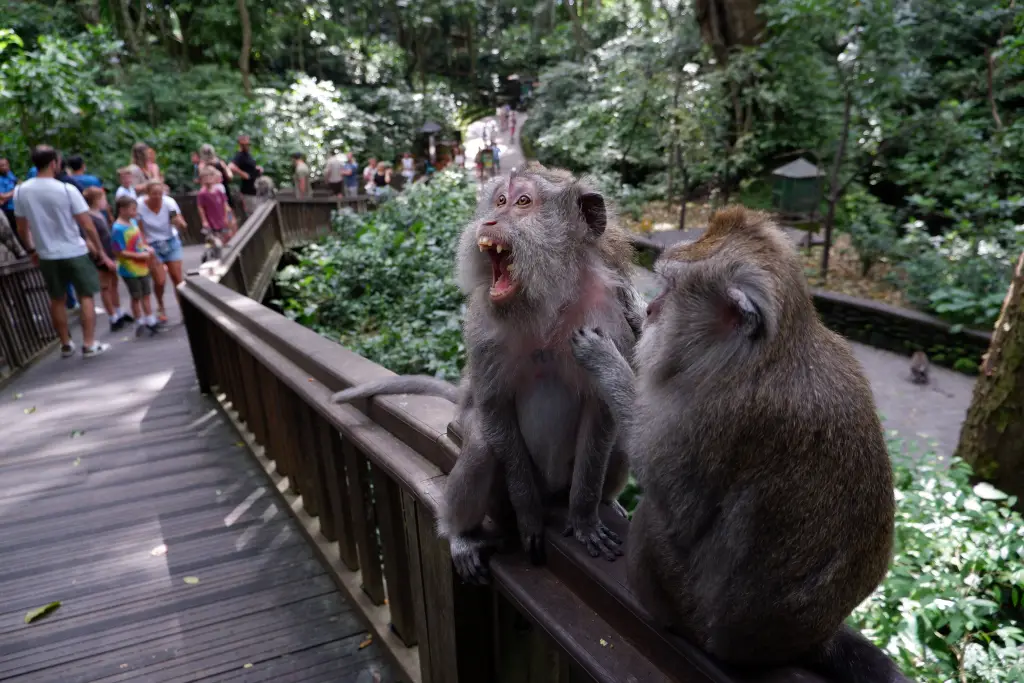 Sektor Wisata di Bali...