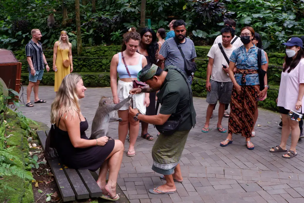 Sektor Wisata di Bali...