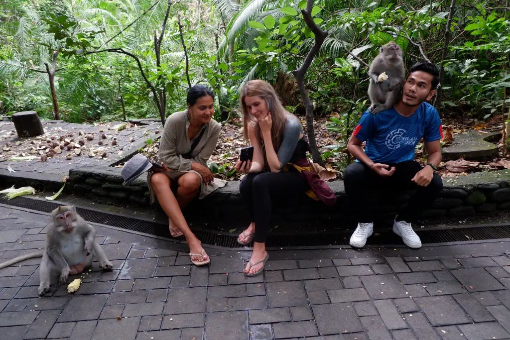 Sektor Wisata di Bali...