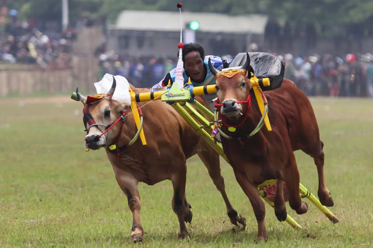 Beradu Cepat di Lomba...