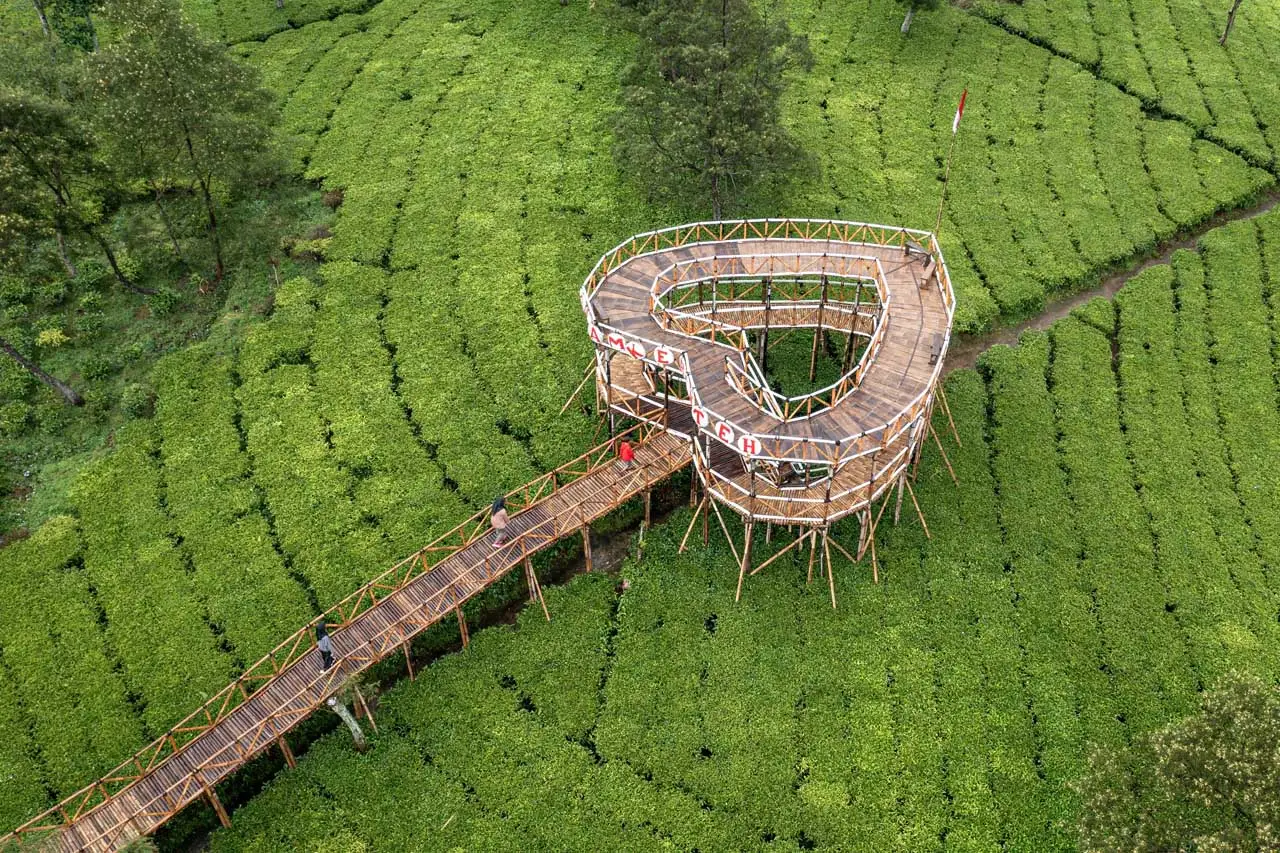 Wisata Alam Kebun Teh...