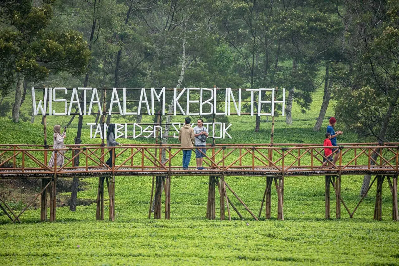 Wisata Alam Kebun Teh...