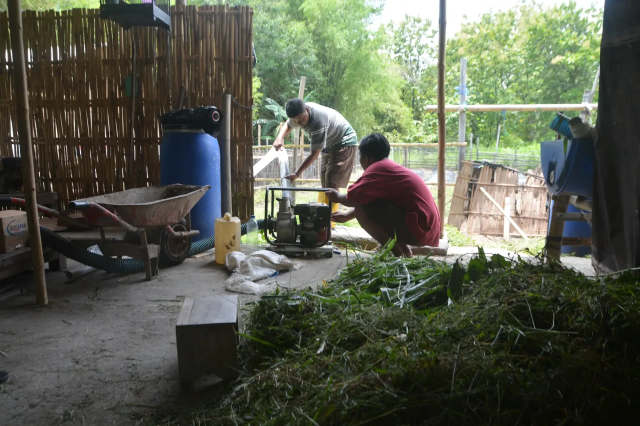 Biogas Menerangi Kampung...