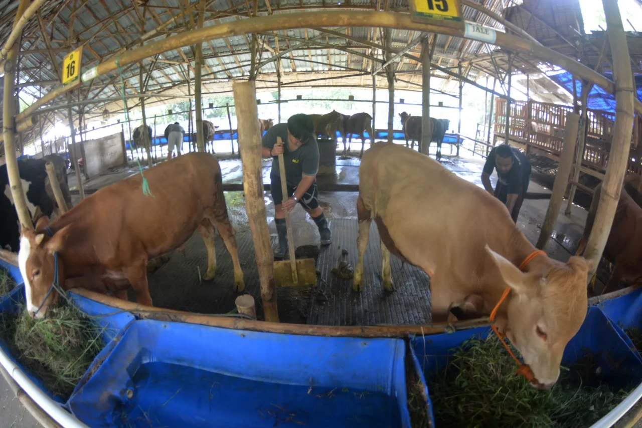 Biogas Menerangi Kampung...