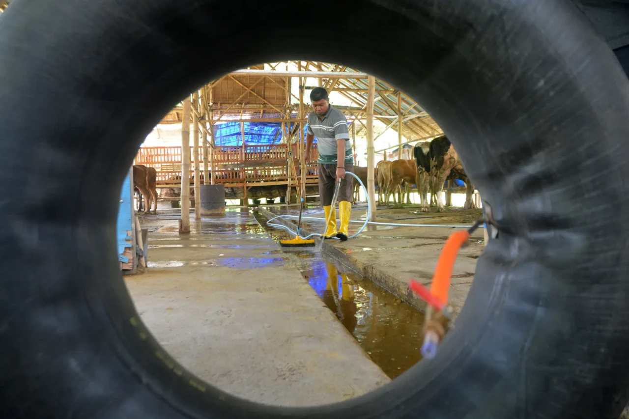 Biogas Menerangi Kampung...