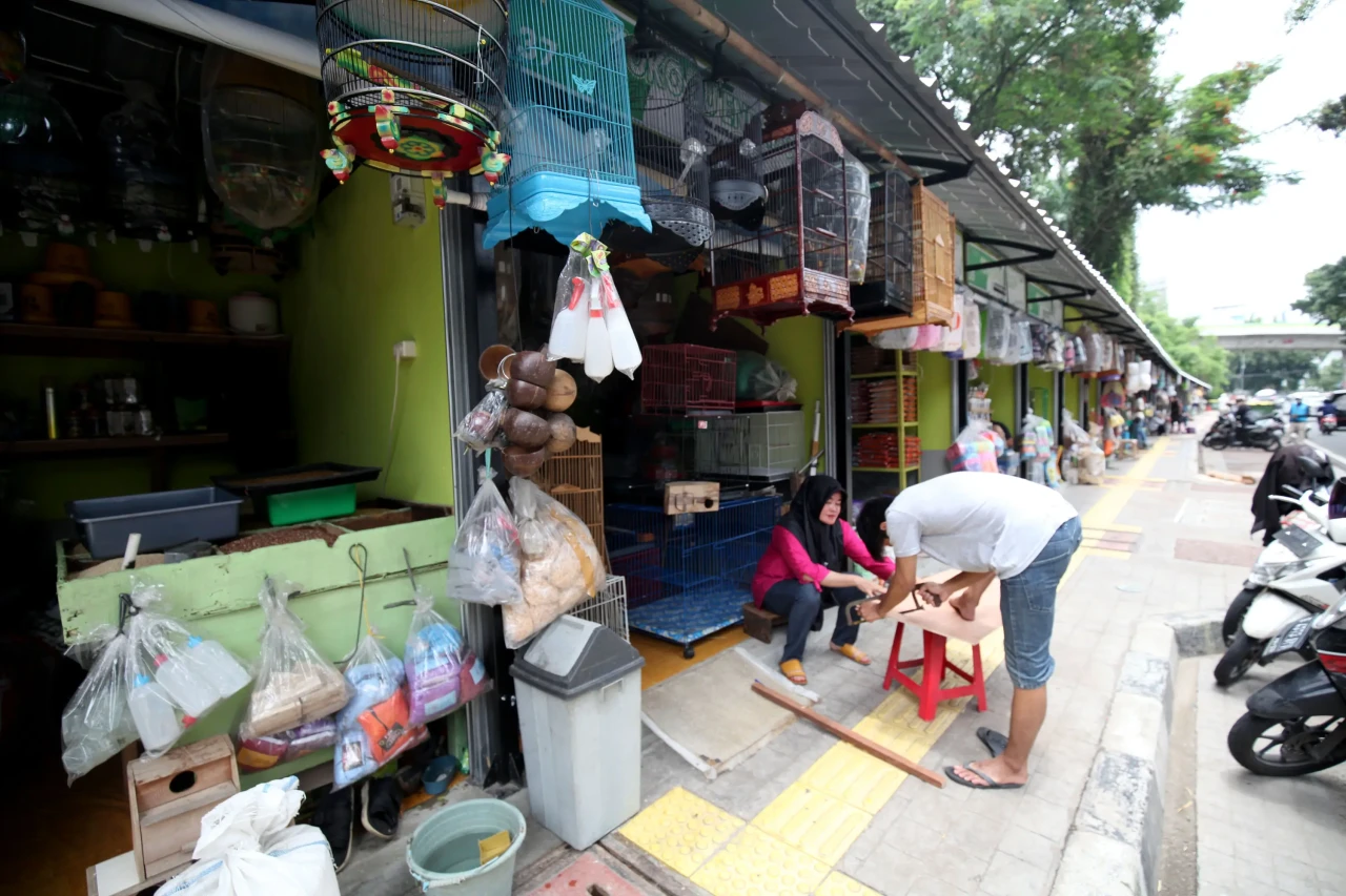 Wajah Baru Pasar Hewan...