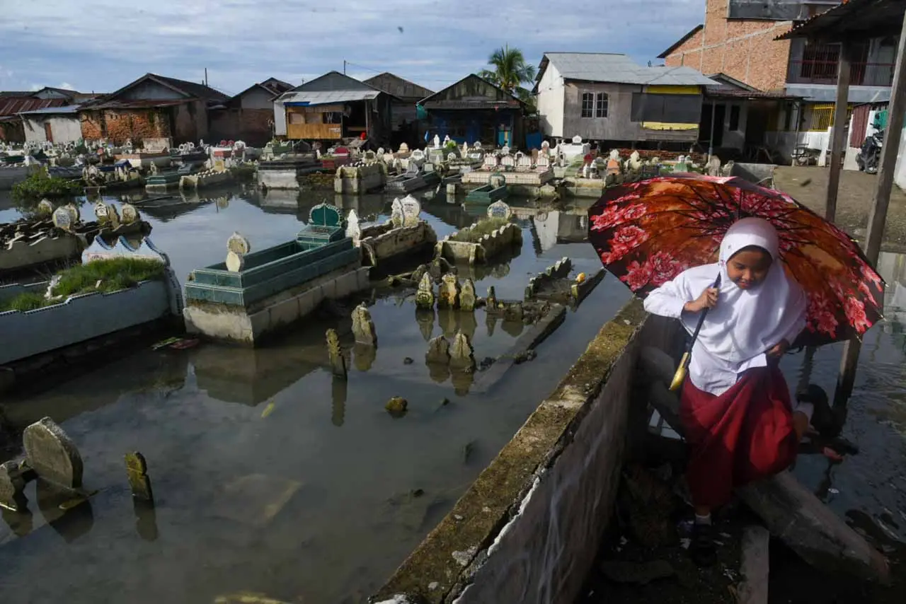 Banjir Rob di Bagan...