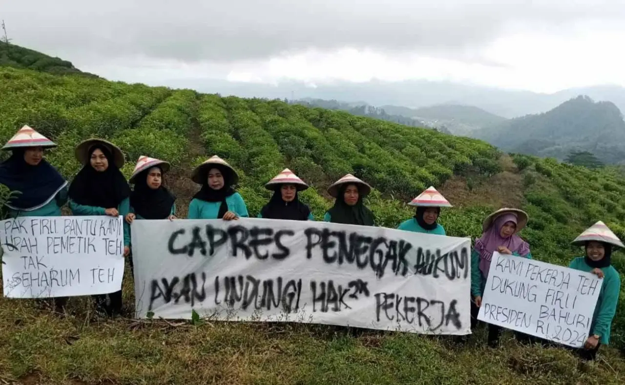 Pemetik Teh Cianjur...