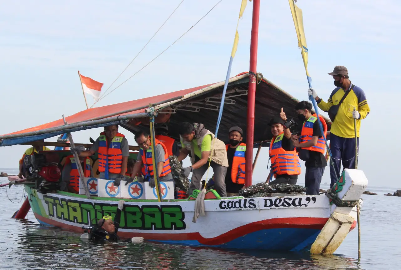 Restorasi Kerang Hijau,...