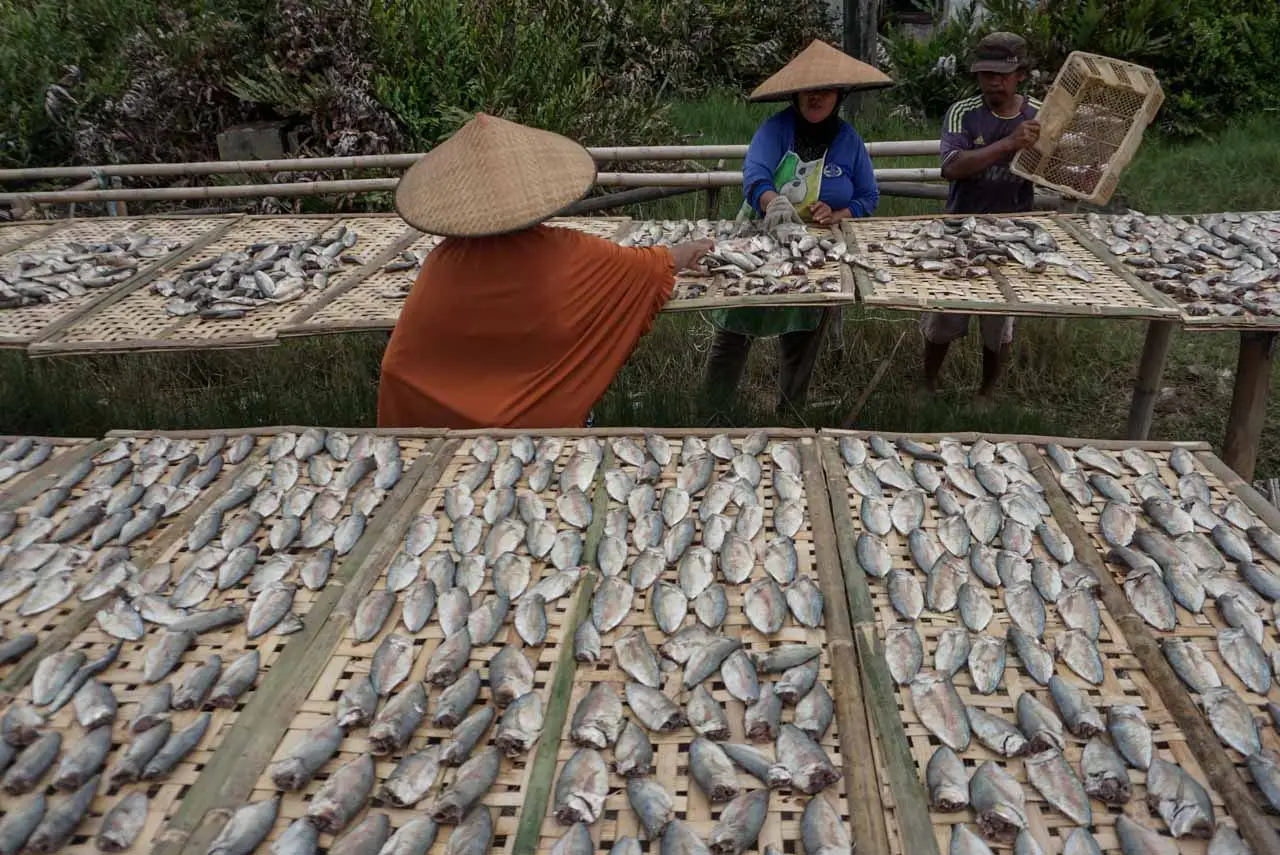 Penjemuran Ikan Terkendala...