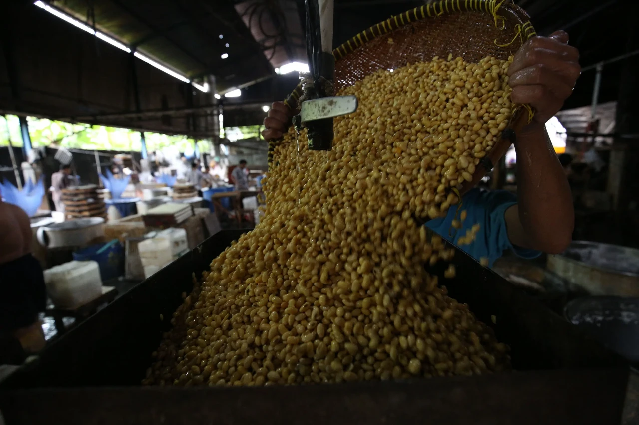 Harga Kedelai Terus...