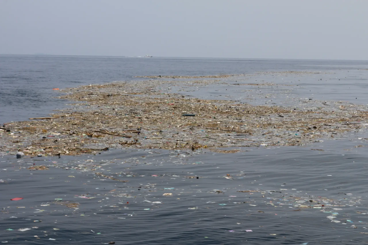 Sampah Laut Cemari Dermaga...