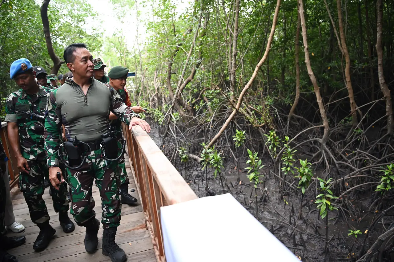 Panglima TNI Tinjau...