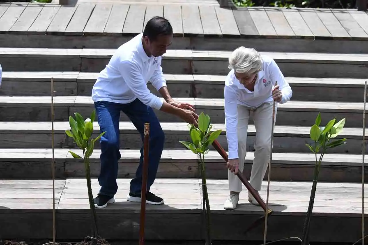 Pemimpin G20 Tanam Mangrove...