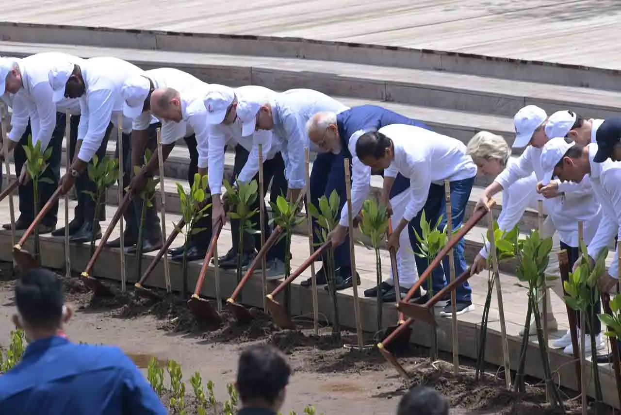 Pemimpin G20 Tanam Mangrove...
